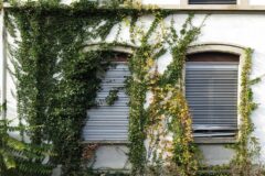 10-12 - seit 50 Jahren unbewohnt 